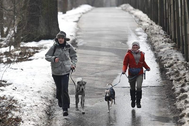 Pierwszy DogTrekking w Rzeszowie [ZDJĘCIA]