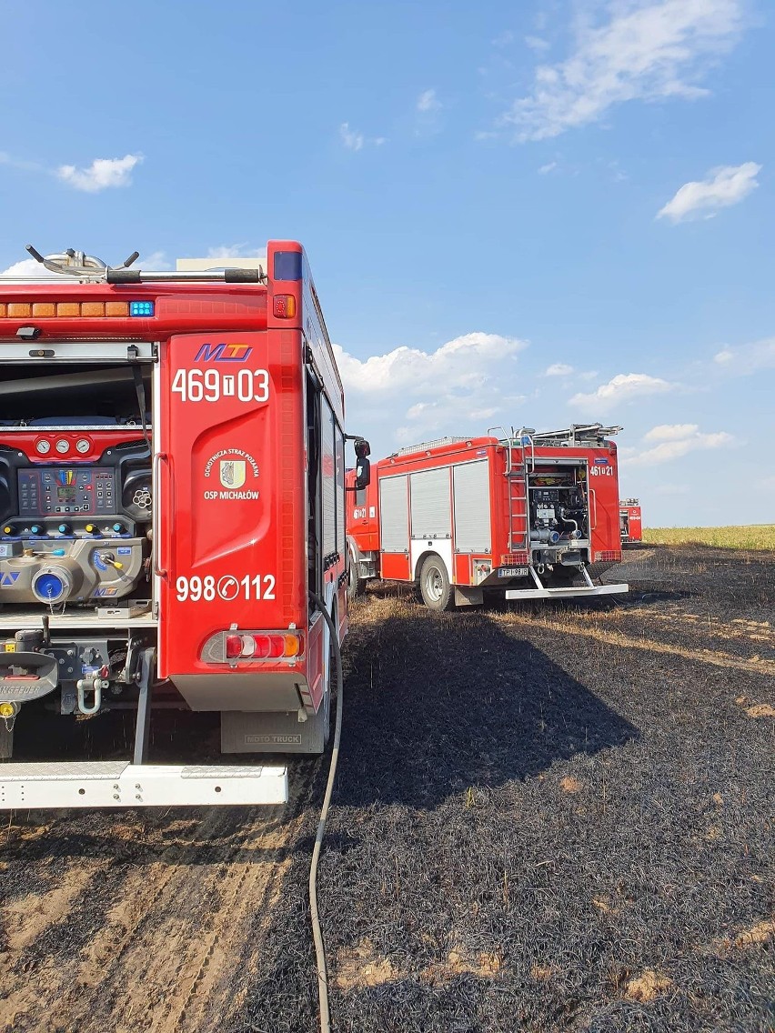 Pożary zboża rujnują rolników w powiecie pińczowskim. Strażacy apelują o rozwagę