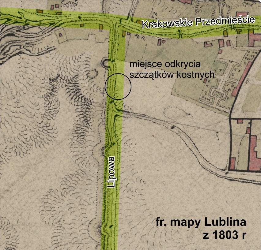 Archeolodzy odnalezli na ul. Lipowej ludzkie szczątki. Pierwsze hipotezy