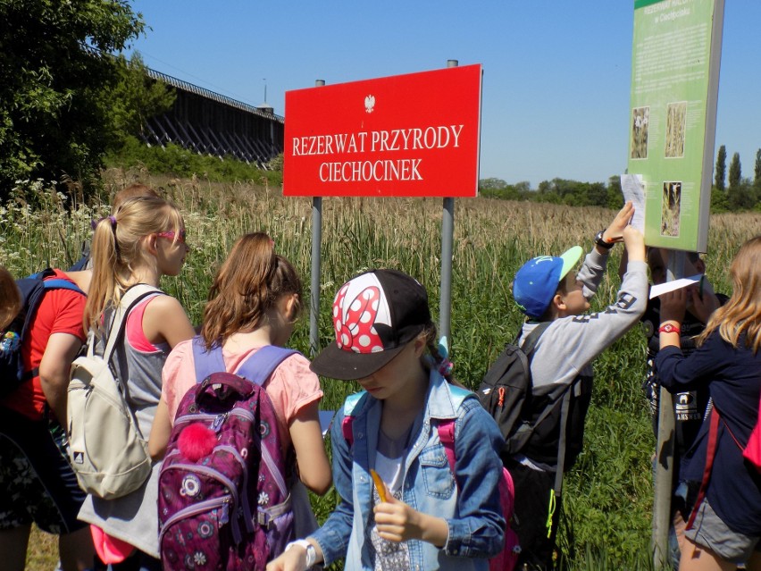 Szkolne Koło Turystyczno-Krajoznawcze Włóczykije, działające...