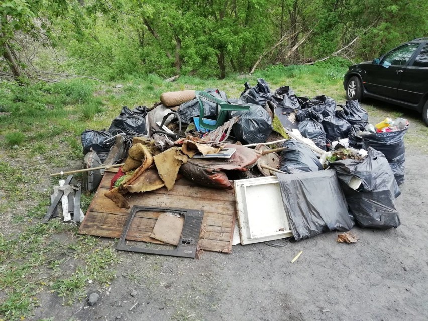 50 worków śmieci w 2 godziny. Wielkie sprzątanie doliny i lasu na Kapuściskach