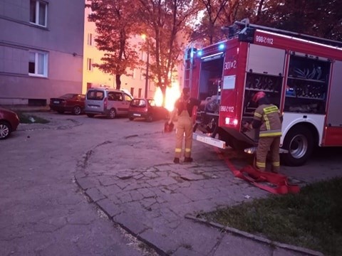 Strażnicy miejscy Animal Patrolu ratują nie tylko zwierzęta....