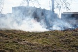 U progu wiosny w Kujawsko-Pomorskiem nasila się proceder wypalania traw