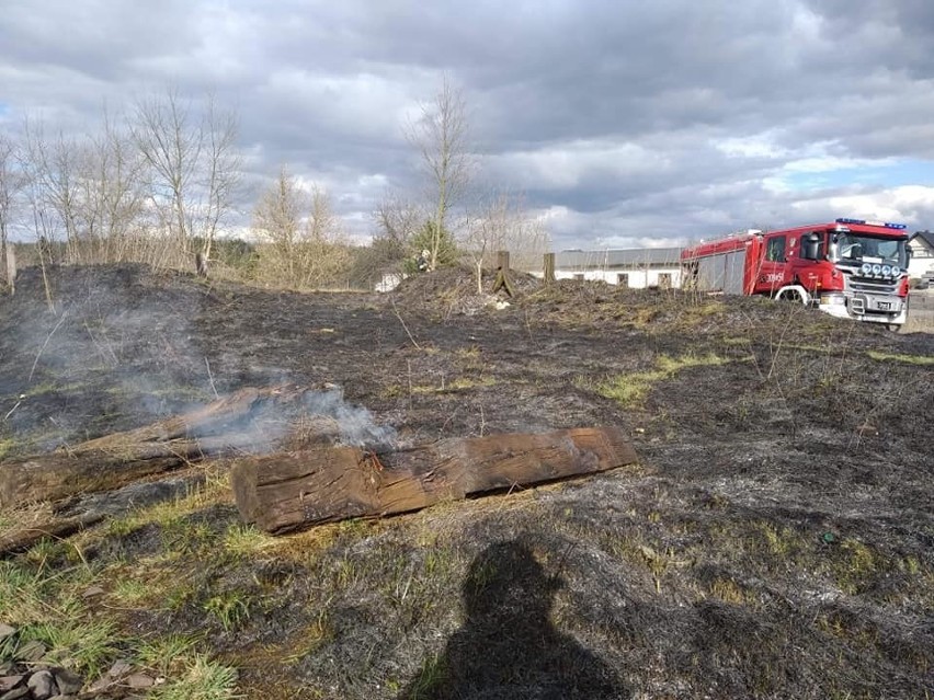 Strażacy OSP Dobrcz gasili też pożar traw w Maksymilianowie