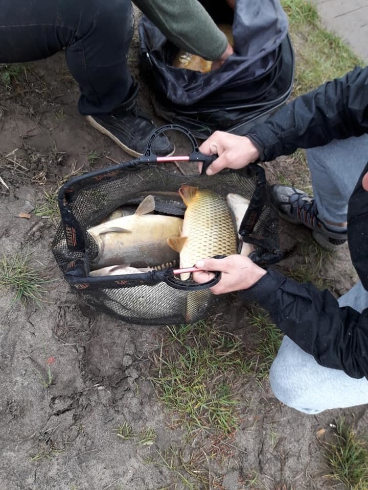 Zawody wędkarskie w Gorzycach. W sumie złowiono prawie 340 kilogramów ryb! (ZDJĘCIA)