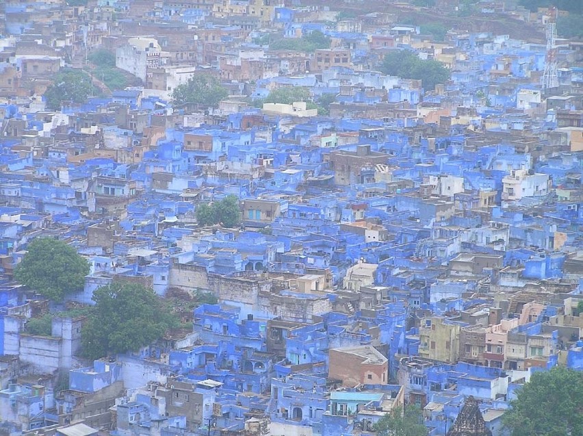 Indie
Jodpur, niebieskie miasto