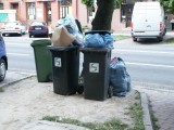 Wojna o śmieci w Gołuchowie