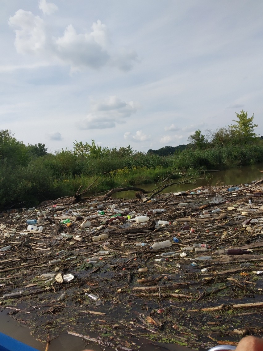 Wyłowią śmieci z zalewu na Wisłoku w Rzeszowie. Sprzątaniem zajmie się specjalistyczna firma