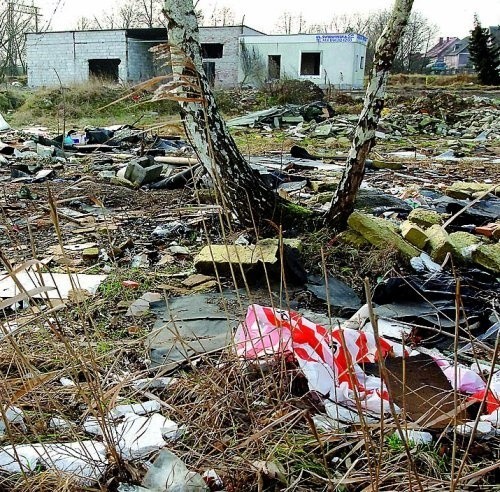 Tak zapuszczone miejsce chluby miastu nie przynosi.