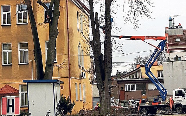 Wczoraj odebraliśmy sygnały o wycince drzew na terenie Klinicznego Szpitala Wojewódzkiego nr 1 im. Fryderyka Chopina w Rzeszowie.