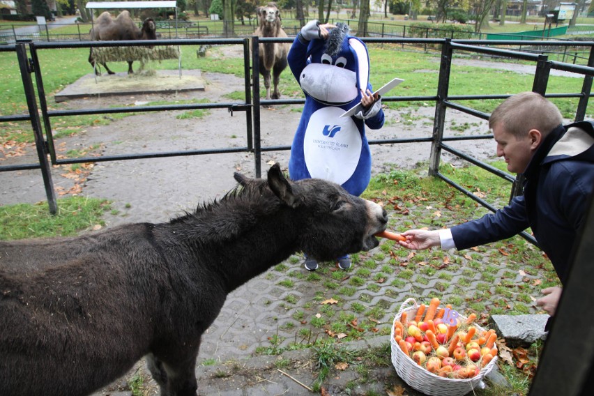 Osioł Michał otrzymał niespodziankę od USiołka