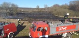 Gmina Postomino: Duży pożar nieużytków rolnych blisko lasu [ZDJĘCIA]