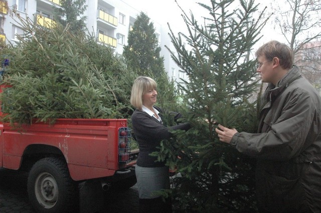 Drzewka prosto z lasu przywiózł leśniczy Piotr Skraburski. Za podarunek, w imieniu mieszkańców domu, podziękowała dyr. DPS Jolanta Kaczmarek.