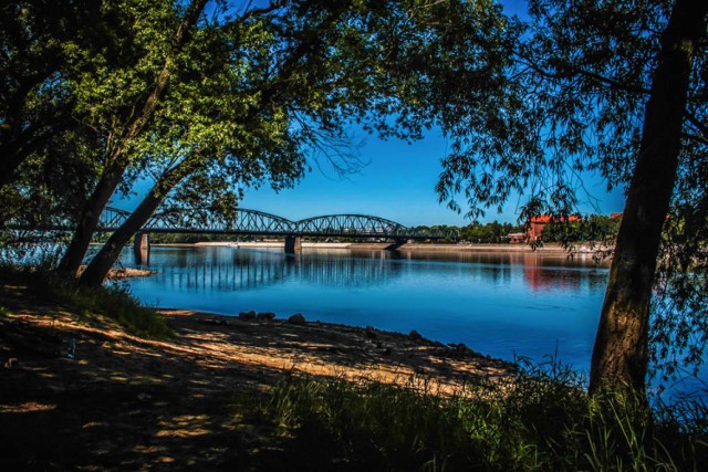 Toruń - Złotą Gminą na piątkę