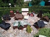 Atrakcja dla dzieci i dorosłych. Park labiryntów i miniatur w Rąblowie