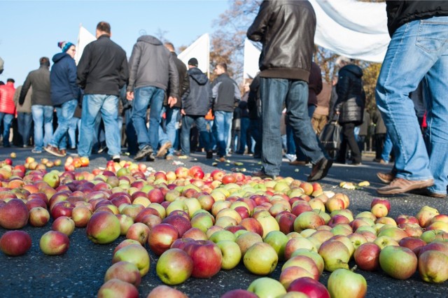 Bolesne konsekwencje rosyjskich sankcji odczuli między innymi hodowcy jabłek, jednak pomoc resortu skierowana zostanie nie tylko do rolników, ale także firm zajmujących się przetwórstwem i transportem.