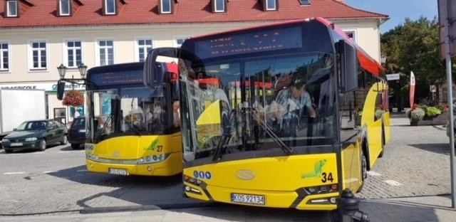 Oświęcim. Kolejnych pięć nowych autobusów pojawiło się na liniach obsługiwanych przez Miejski Zakład Komunikacji. W sumie jest ich już 10 