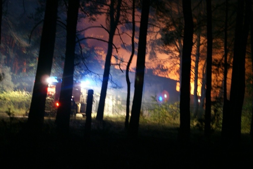 Pożar dawnej stołówki we wsi Borek