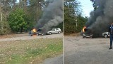 Pożar samochodów przy DK10 w Bydgoszczy. Na miejscu cztery zastępy straży [zdjęcia]