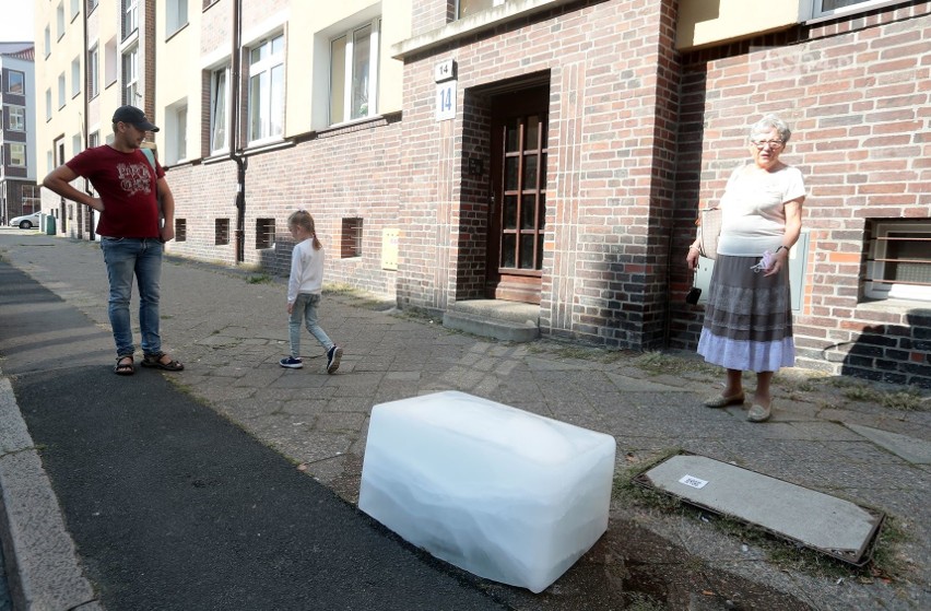 Spoiwa Kultury w Szczecinie 2020: Bryły lodu z zamrożonymi listami na Niebuszewie
