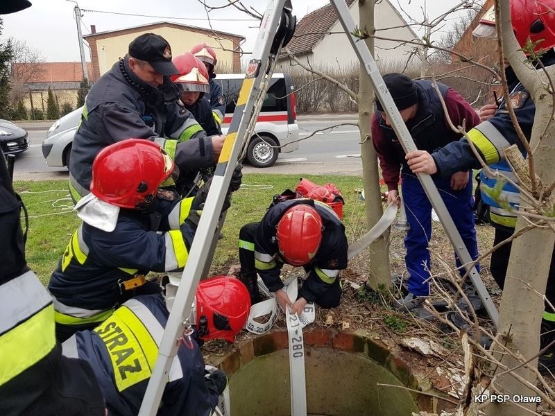 Puszek wpadł do studni. Strażacy ruszyli na ratunek (ZDJĘCIA)