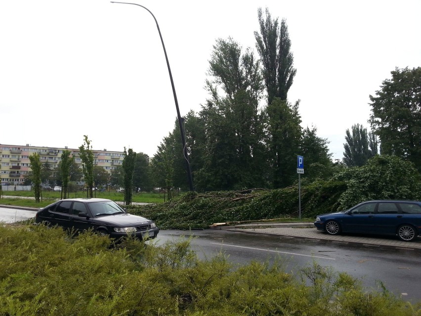 Burza w Łodzi. Nawałnica nad Łodzią. Powalone drzewa, gałęzie na drogach, zalane ulice [ZDJĘCIA]