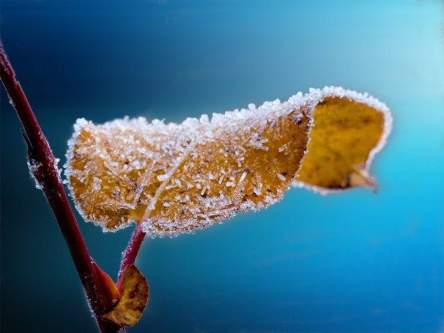 PROGNOZA POGODY 2019/2020. Synoptycy z Instytutu Meteorologii i Gospodarki wodnej wydali ostatnio kilka ostrzeżeń i  prognoz zagrożeń meteorologicznych. Dotyczą one głównie silnych porywów wiatru i marznących opadów. Na stronie IMGW pojawiła się też przewidywana prognoza pogody na najbliższe kilka dni. Co czeka nas na przełomie roku? Czy dotrze do nas prawdziwa zima? Sprawdź!