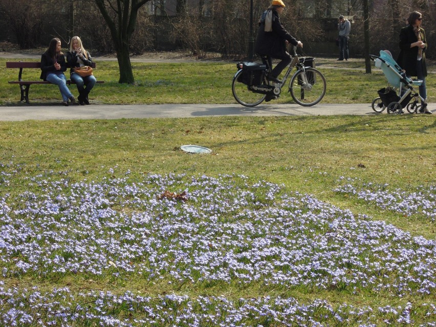 Pogoda na Wielkanoc 2021. Będzie ciepło i słonecznie? Prognoza pogody na święta wielkanocne w Polsce 01.04.21