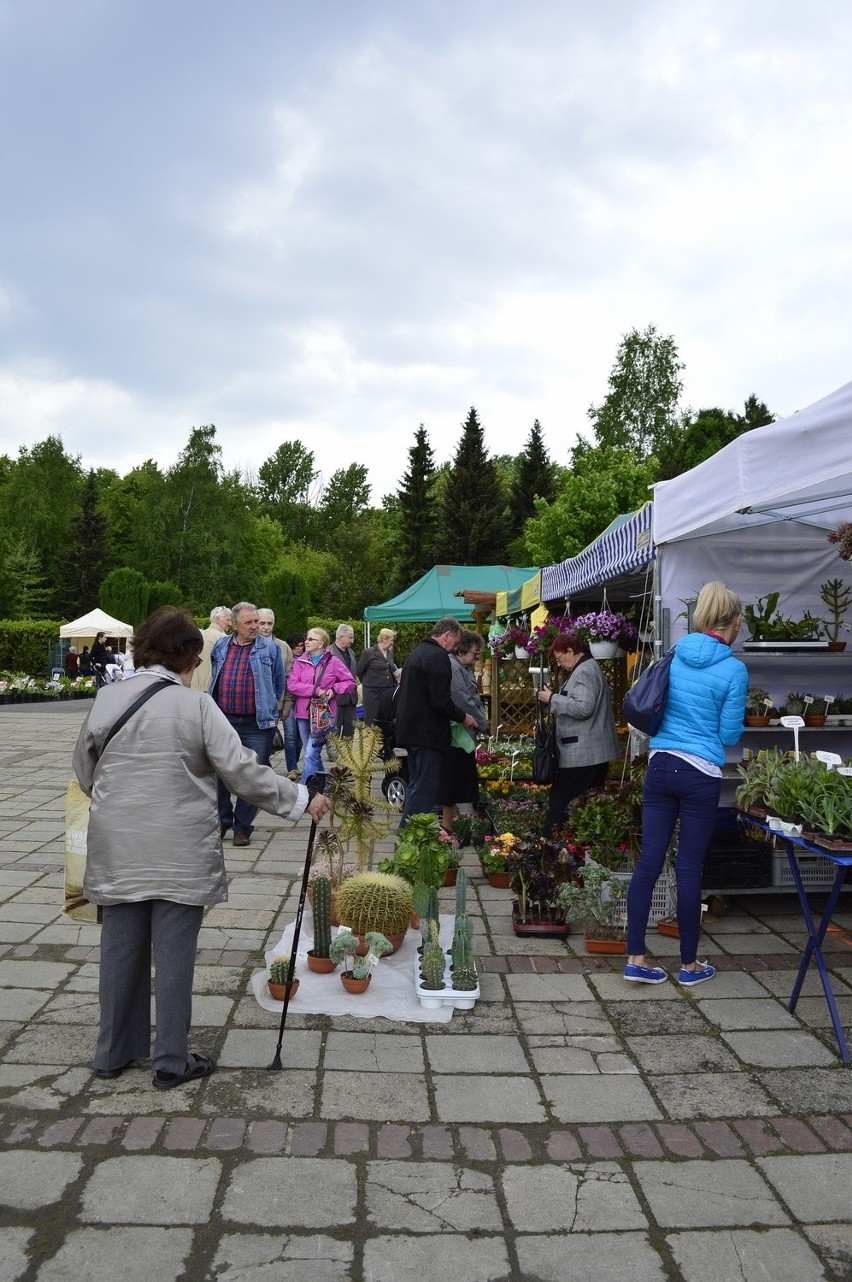 Wystawa Kwiatów i Ogrodów w Parku Śląskim