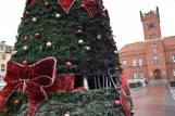 W Nowy Rok spłonęła choinka przed ratuszem w Szczecinku [zdjęcia]