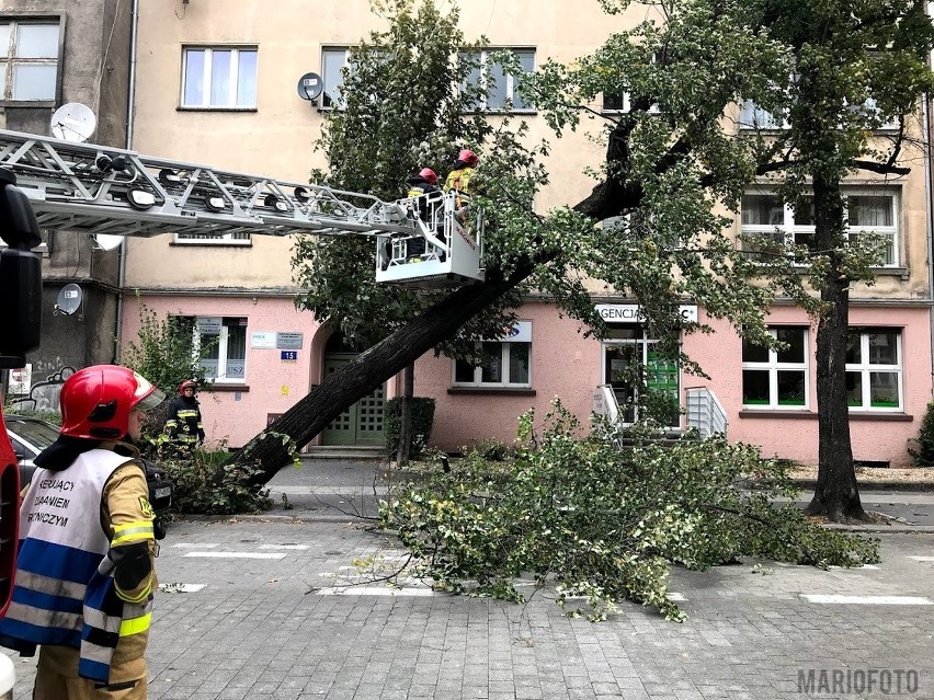 Wiatr łamie drzewa i uszkadza budynki.