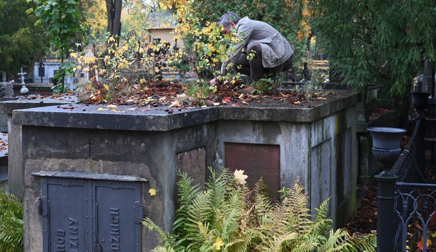 Towarzystwo Przyjaciół Kielc w akcji sprzątania zabytkowych nagrobków na Cmentarzu Starym w Kielcach. Zobaczcie film i zdjęcia