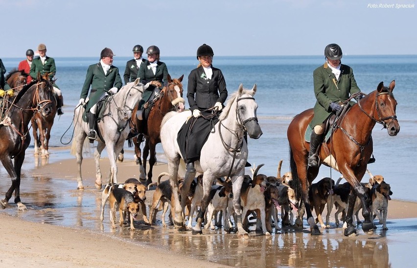 "Usedom Cross Country" na plaży w Ahlbecku [ZDJĘCIA]