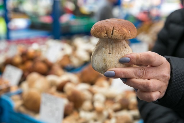 Obecnie na rynkach można kupić najpopularniejsze grzyby - borowiki, podgrzybki, kurki i maślaki.