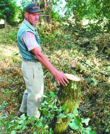 Mieszkańcy Kamiennej są oburzeni. Tym bardziej, że pilarze pościnali zdrowe, grube konary. &#8211; To nie są suche gałązki. To są grube konary, które nikomu nie przeszkadzały i nie zagrażały &#8211; mówi jeden z mieszkańców.