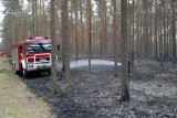 Siarcza Łąka. Paliło się 1,5 ha. Strażacy ponad pięć godzin walczyli z ogniem