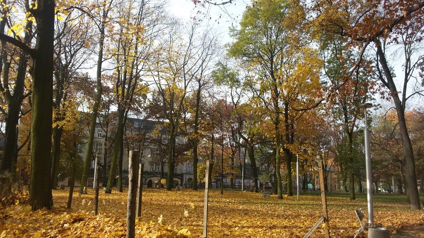 Jesień w Parku Zamkowym w Mysłowicach