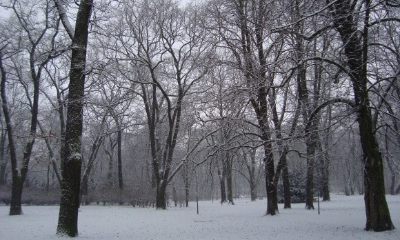 Zima ma trzymać do końca stycznia. W środę synoptycy przewidują za to niewielkie ocieplenie.
