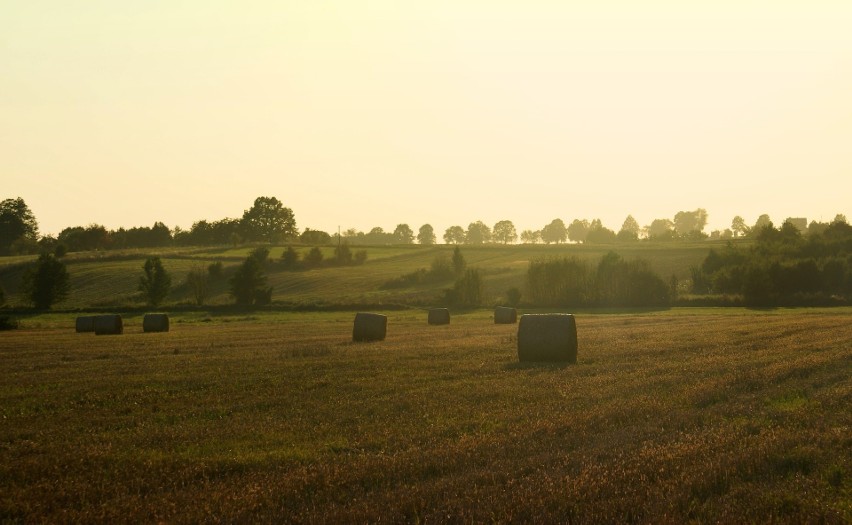 PODLASIE TO WSCHODNIE GRANICE KOJARZONE Z ZIMNEM...