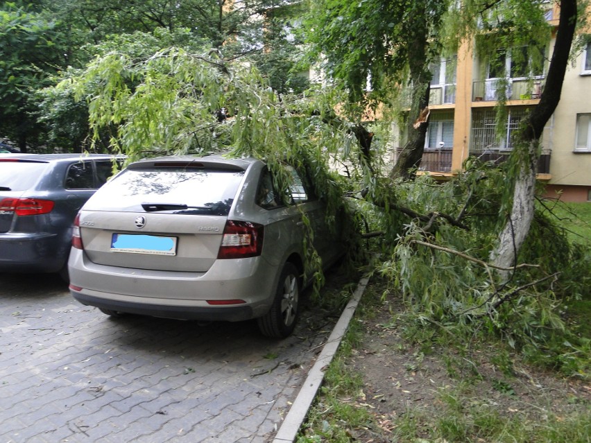 W Radomiu wielki konar drzewa zwalił się na samochód