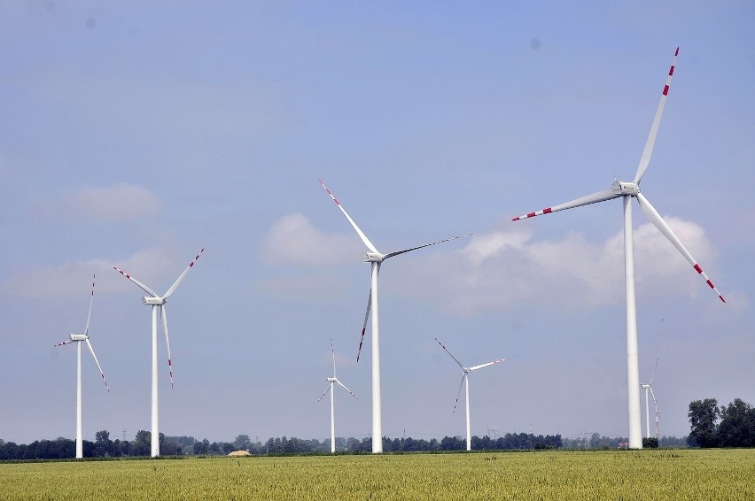Dwugłos: Czy ograniczyć budowę elektrowni wiatrowych w Polsce?