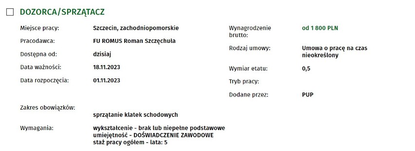 Najnowsze oferty pracy ze Szczecina i regionu. Kogo poszukują pracodawcy?