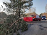 Samochód uderzył w drzewo w Recicach (pow. starogardzki) 22.03.2022. Nie żyje 37-letni mężczyzna