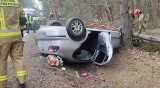 Groźny wypadek w gminie Wyśmierzyce, samochód osobowy seat wypadł z drogi, uderzył w drzewo i dachował w rowie