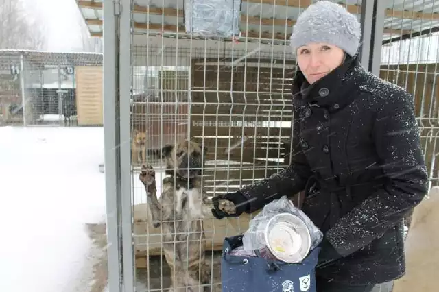 - Te psy czekają na swojego pana. Adla chętnych do adopcji mamy cały zestaw dla czworonogów - mówi Beata Wszoła.