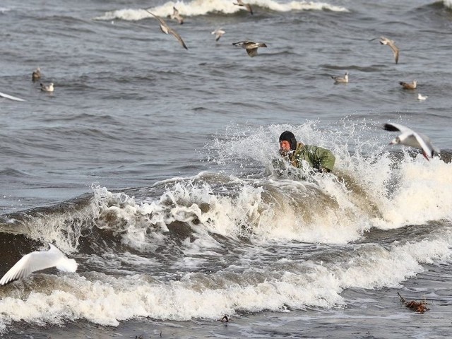 Wyławiacze wodorostów, w których mogą unosić się bursztyny, pojawiają się na usteckiej plaży po każdym sztormie. 