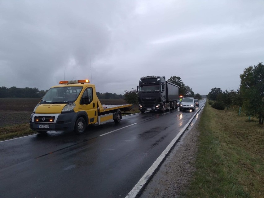 Wypadek pod Wrocławiem. Auto "uciekło" w pole kukurydzy (ZDJĘCIA)
