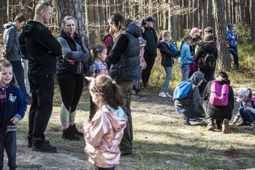 Wielka akcja sadzenia drzew w Nadleśnictwie Manowo