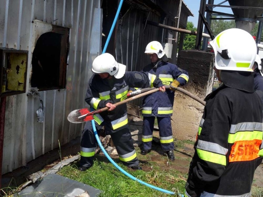 Pożar w Brodziszewie: Spłonęło 15 tysięcy kurczaków