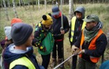 Archeolog z laserem. Co może zobaczyć i do czego dotrzeć?